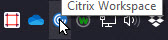 Citrix-Icon