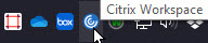 Citrix Icon